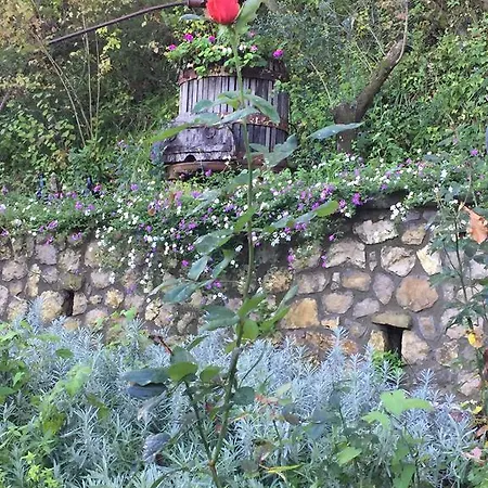 Il Casale Del Mirto Vico Equense
