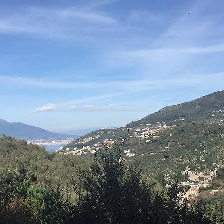 Il Casale Del Mirto