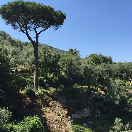 Farm stay Il Casale Del Mirto